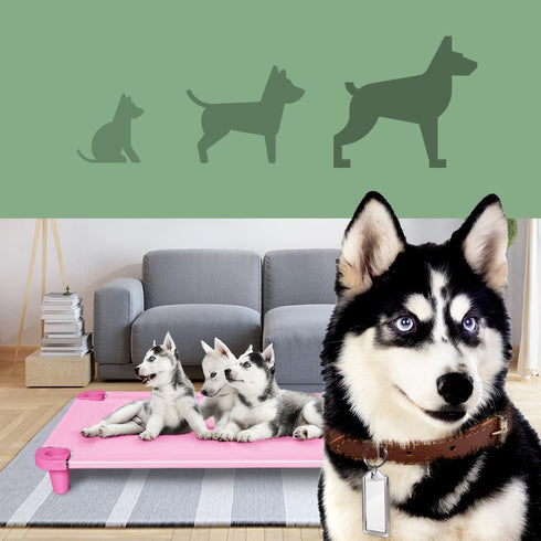 Acrimet Elevated Pet Dog Bed Cot, Washable Breathable Mesh Fabric, Stainless Steel Frame, Indoor & Outdoor Use,