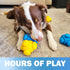 Dog Puzzle Toys for Smart Dogs, Interactive, Boredom Busters, Mentally Stimulating, Cognitive Dog Games, Hard Puzzle