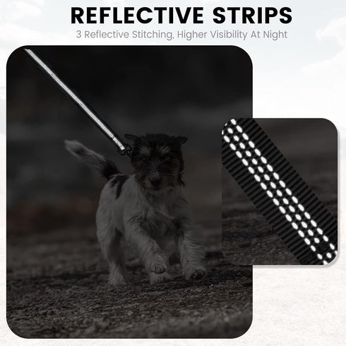 PuppyDoggy Dog Leash for Small to Medium Dogs, 6 ft with 3 Reflective Stitching, 2 Traffic Padded Handles (Purple 1