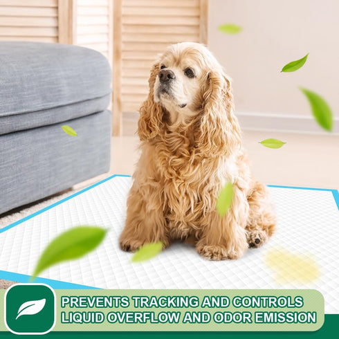 IMMCUTE 22"x23" 100 Count 6-Layer Puppy Pads | Leak-Proof & Super Absorbent Dog Training Pads | Disposable Potty Pads