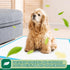 IMMCUTE 22"x23", 50 Count, Puppy Pee Pads Super Absorbent Leak-Proof Disposable Dog Training Pads for Puppies, Adult