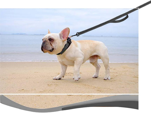 10 FT Traffic Leash with 2 Handles, Reflective Dog Leash for Large Medium Dogs, Easy Control Training Lead, Black