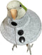 Adjustable Recovery Bird Cone Collar, Elizabeth Protective Collar, Safe Neck Sleeve for Preventing Bite and Licking