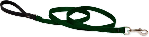LupinePet Basics 1/2" Green 4-foot Padded Handle Leash for Small Pets