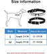 Cute Dazzling Sparkling PU Leather Bling Dog Collar with Rhinestone Crystal for Pets (XS, Blue)