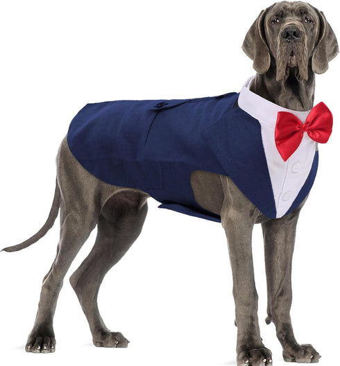 DORA BRIDAL Dog Tuxedo for Large Dogs, Formal Wedding Outfit with Bowtie and Bandana Set, XL, Blue