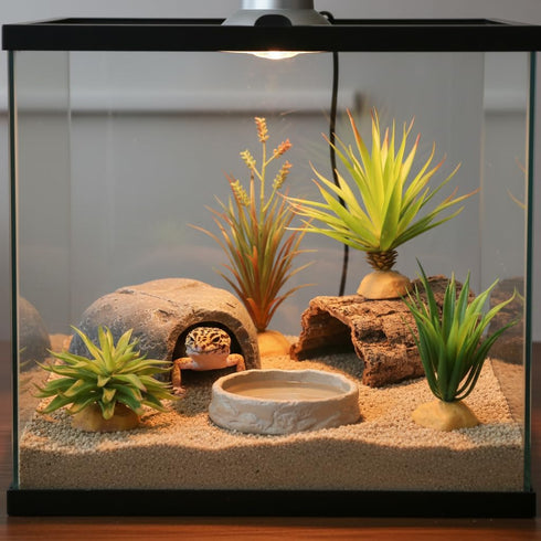 JIHAQUA 2-Piece Set,Lifelike Reptile Terrarium Decor Realistic Succulent Plastic Plants for Geckos, Bearded