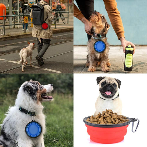 Large Collapsible Dog Bowls, 34oz Travel Water Food Bowls, Portable Foldable Dishes with Carabiner Clip, 2 Pack