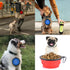 Large Collapsible Dog Bowls, 34oz Travel Water Food Bowls, Portable Foldable Dishes with Carabiner Clip, 2 Pack