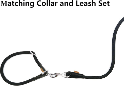 Braided Rope Dog Leash, 6FT Traction Walking Training Lead for Small/Medium Dogs, 1/3" Black
