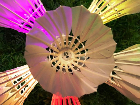Leadge LED Shuttlecock Badminton Birdies, Dark Night Goose Feather Glow Birdies for Indoor Outdoor Sport Activities (6