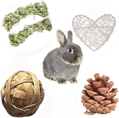 Set, Chinchilla, Conejo(22Pieces) Bunny Hamsters Chew Toys Straw Woven Bed Mat& Rabbit Pet Tooth Organic Natural Apple