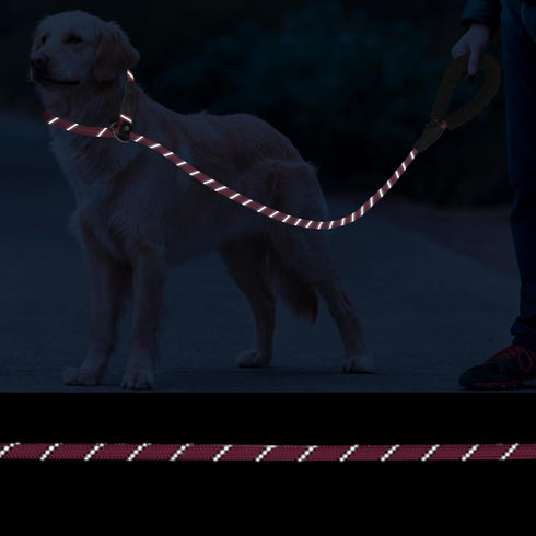 Slip Lead 6 FT for Medium and Large Dogs, Heavy Duty No Pull Reflective Nylon Dog Training Leash, Pink Color