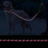 Slip Lead 6 FT for Medium and Large Dogs, Heavy Duty No Pull Reflective Nylon Dog Training Leash, Pink Color