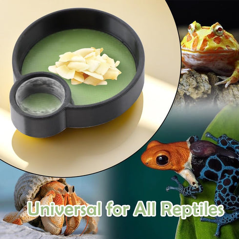 DQITJ 2 Pcs Hermit Crab Food Bowl Round Water Bowl Feeding Dish for Hermit Crab Snail Millipede Small Reptiles