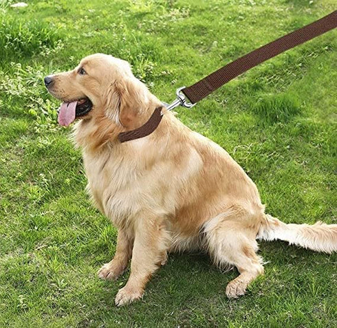 Strong Dog Leash 4FT/5FT/6FT, Nylon for Small Medium Large Dogs, Brown, 1 in x 10 ft