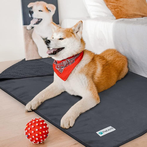 PetAmi Waterproof Dog Blanket, Pee Proof Reversible Fleece Blanket for Small Medium Dogs, 24x32 Gray