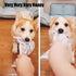 2 PCS Plastic Creaks Squeaky Newspaper Crinkle Dog Chew Toys, Interactive Tug of War Pet Toy