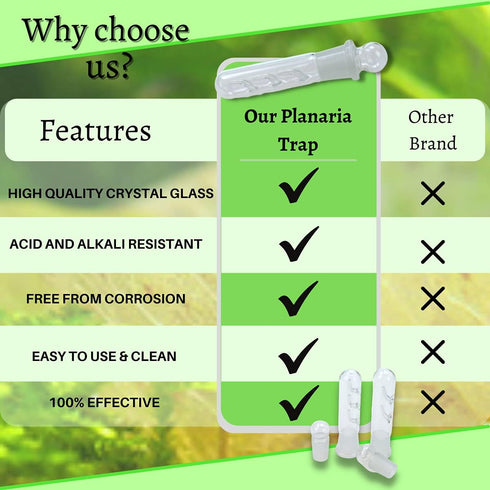 Planaria Trap Crystal Red Shrimp Tank Aquarium Bristle Worm Catcher, Clear Glass Leeches Catching Tube (3 Holes)