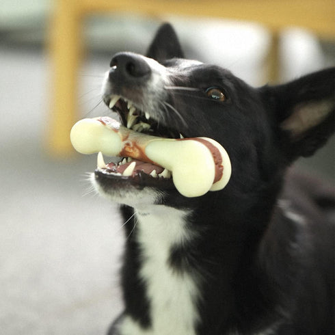Tikaton Indestructible Dog Chew Toys for Aggressive Chewers, Beef Flavor Durable Teething Bones for Puppies