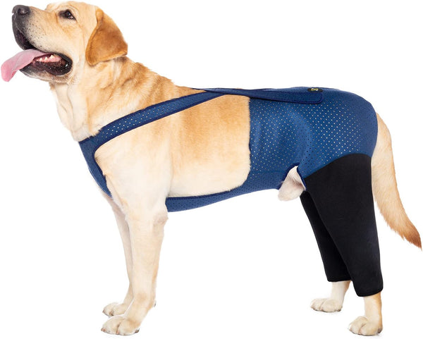 Coodeo Dog Recovery Suit, Cone Collar Alternative, Abrasion Resistant, Washable, Waterproof for Pet Wounds (L, Blue)