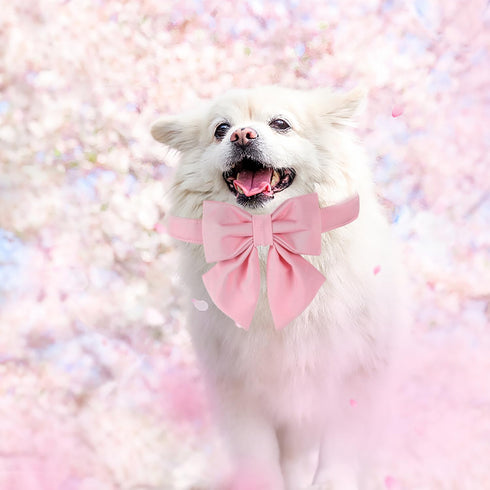Maca Bates Dog Collar with Pink Bow - Adjustable Solid Colors Sailor Bow Tie Collar for Small Medium Large Girl Boy