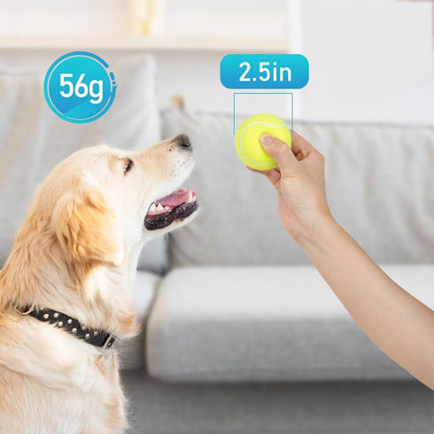 PrimePets Tennis Balls for Dogs - 2.5 Inch, 12 Pack, Squeaky Interactive Pet Fetch Ball for Medium and Large Dogs,