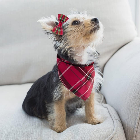 PUPTECK Leather Dog Christmas Collar for Small Dogs, XS Puppy Bandana Costume Accessories for Girl Boy Bunny Cats Red,