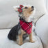 PUPTECK Leather Dog Christmas Collar for Small Dogs, XS Puppy Bandana Costume Accessories for Girl Boy Bunny Cats Red,