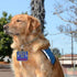 "Service Dog in Training" Clip On Identification Patch Tag - Includes Five Handout Cards for Service Dog Vest
