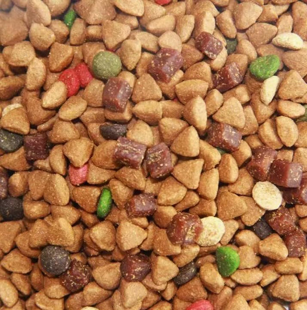 Drunyx Universal Dog Food, Large Package 20Kg, for All Dog Breeds, Adult and
