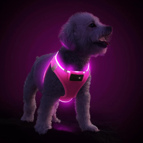 PceoTllar Light Up Dog Harness, LED No Pull Reflective Dog Harness, Flashing