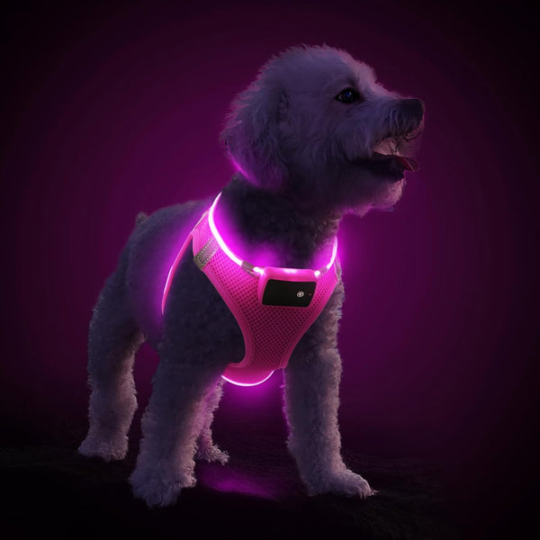 PceoTllar Light Up Dog Harness, LED No Pull Reflective Dog Harness, Flashing
