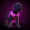PceoTllar Light Up Dog Harness, LED No Pull Reflective Dog Harness, Flashing