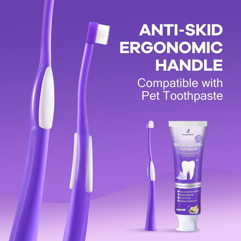 Enzymatic Toothpaste for Dogs and Cats with Nano-Hydroxyapatite and Soft Bristles Toothbrush