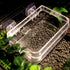 Reptile Feeder Chameleon Bowl, 2 Pcs Anti-Escape Food Dish with Suction Cup for Iguana Lizard Feeding