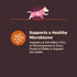 Wellness CORE Digestive Health Dry Dog Food with Wholesome Grains for Dogs with Sensitive Stomachs (Small Breed,