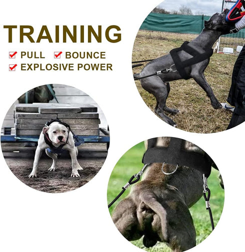 Forestpaw Heavy Duty Dog Harness for Training, Tactical Harness with 3 Metal Rings, Soft Padded for Medium Large Dogs,
