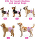 4 Pack FMG04M CuteBone Washable Female Dog Diapers Reusable Doggie Heat Diapers for Period