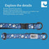 RC Pets Kitty Breakaway Cat Collar, Pirate Design