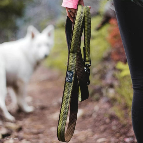 Coastal Pet K9 Explorer Reflective Dog Leash with Scissor Snap - Durable Nylon Leash for Dogs, Campfire Orange, 1" x 6'