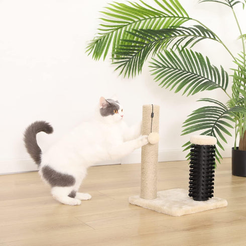 Amazon Basics Cat Scratching Post with Brush, 12.2 x 12.2 x 16.54 inch for Kittens, Beige Color