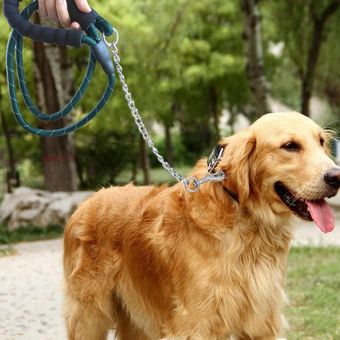 BTINESFUL 6FT Chewproof Dog Leash - Strong Nylon Rope with Anti-Chewing Chain (Dark Green) for Medium Large Dogs