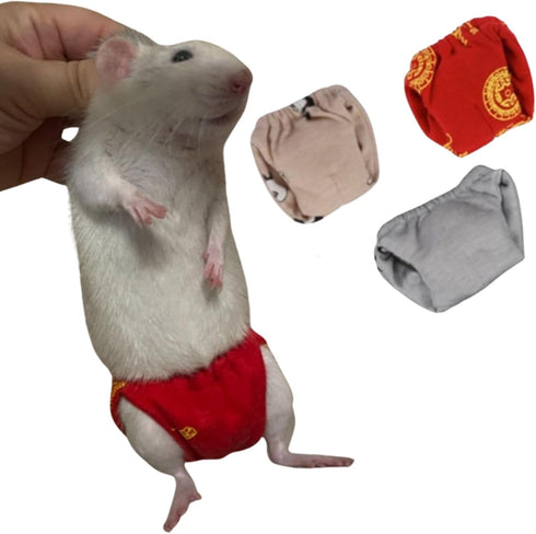 Squirrel Diapers-Highly Absorbent with Strong & Flexible Hook and Loop Pants No