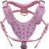Matching Set of Leather Spiked Studded Collars, Harnesses & Chain Leashes for Medium & Large Dogs, Pit Bull, Mastiff,