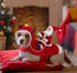 Idepet New Santa Dog Costume, Christmas Pet Clothes Winter Hoodie Coat for Dog, Chihuahua Yorkshire Poodle (2XL)