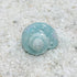 Opaeroo 1.1-5cm 2.7-3cm Snow Painted Hermit Crab Shells for Home Decorations Hermit Crab Supplies and DIY Crafts