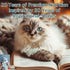 5.5oz (Pack 24) Chicken Soup for the Soul All Natural Premium Adult Wet Cat Food, Real Meat First Ingredient, No