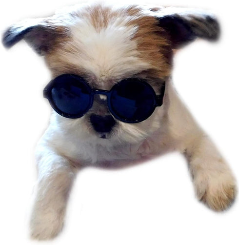 G016 Small Breed Dog Sunglasses for Pets up to 15lbs, Round Tiny Design, Black