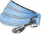 Blueberry Pet 5 ft x 5/8" Reflective Pastel Color Dog Leash, Soft Handle, Baby Blue, Small